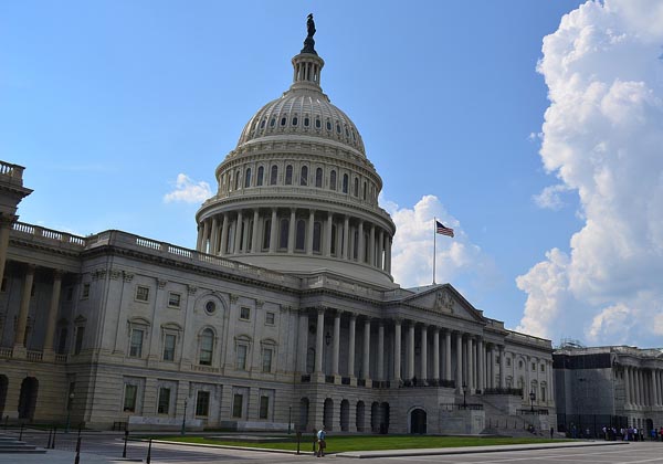government