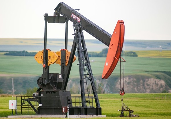 oil
